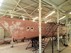 Custom built/Eigenbau Rina Class Steel Hull for BILD 10