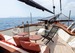 Custom built/Eigenbau Classic Sailing Yacht BILD 4