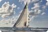 Jeanneau Sun Odyssey 490 Performance - Sailing boat