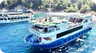 Custom built/Eigenbau Glass Bottom Daily Boat ECO - motorboat